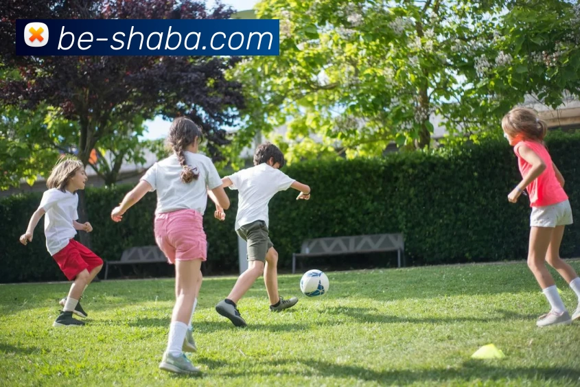 App Interface Preview